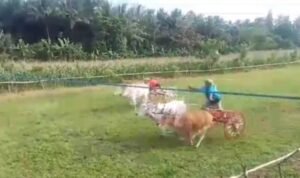 Screenshot_20241107_231204_Chrome