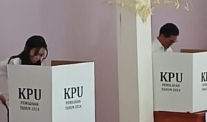 Screenshot_20241127_121659_WhatsApp