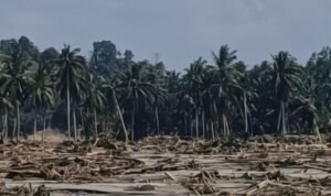 Screenshot_20251205_151532_WhatsApp